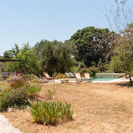 Il Cardo Bianco - Trulli A * Ceglie Messapica