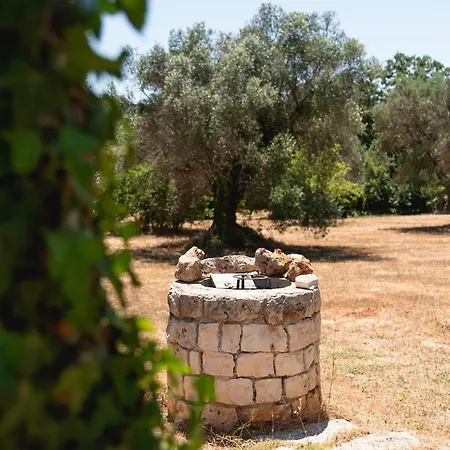 Il Cardo Bianco - Trulli A Ceglie Messapica