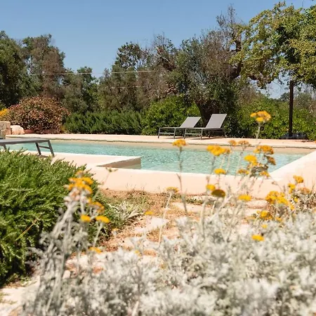 Il Cardo Bianco - Trulli A * Ceglie Messapica
