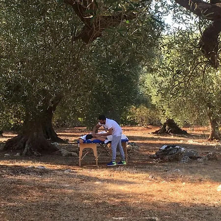 Il Cardo Bianco - Trulli A Ceglie Messapica