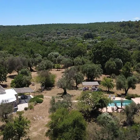 Feriehus Il Cardo Bianco - Trulli A *